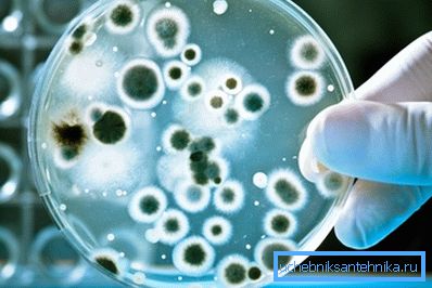 Los estudios bacteriológicos solo pueden realizar SES. Los estudios bacteriológicos solo pueden realizar SES.