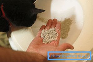 Para la tranquilidad del animal puede servir un poco de relleno. Para la tranquilidad del animal puede servir un poco de relleno.