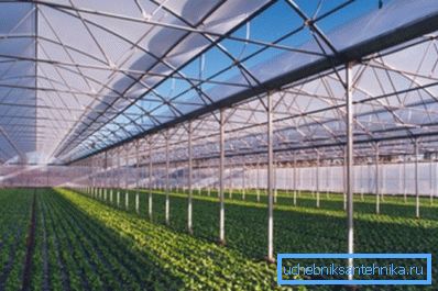Los agricultores que cultivan hortalizas en invernaderos abordan el tema de la calefacción de una manera completamente diferente. Los agricultores que cultivan hortalizas en invernaderos abordan el tema de la calefacción de una manera completamente diferente.