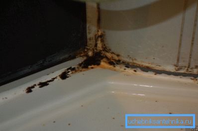 Foto de molde en la cabina de ducha. Foto de molde en la cabina de ducha.