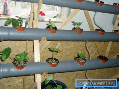 Sistema hidropónico de tuberías de alcantarillado. Sistema hidropónico de tuberías de alcantarillado.