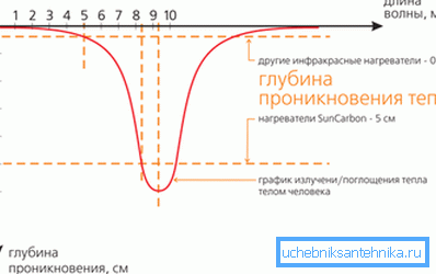 Profundidad de penetración de ondas de diferentes longitudes en el cuerpo humano. Profundidad de penetración de ondas de diferentes longitudes en el cuerpo humano.