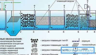 1183 Limpieza biologica profunda