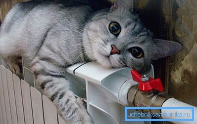 El gato se calienta sobre un radiador de aluminio. El gato se calienta sobre un radiador de aluminio.