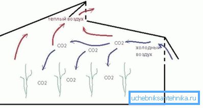 En la foto - el esquema más simple de ventilación de invernadero.