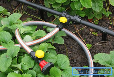 En la foto: tuberías para tuberías de verano deben cumplir con una variedad de requisitos. En la foto: tuberías para tuberías de verano deben cumplir con una variedad de requisitos.