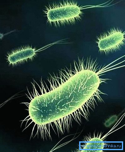 La presencia de bacterias en el agua potable puede conducir a enfermedades graves. La presencia de bacterias en el agua potable puede conducir a enfermedades graves.