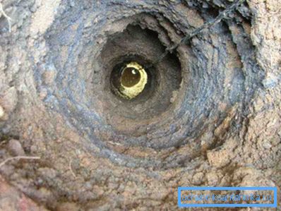 Necesito saber qué tan profunda es el agua. Necesito saber qué tan profunda es el agua.