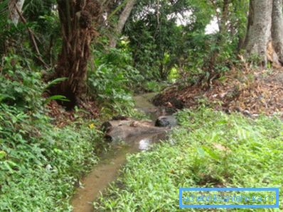 A pesar de la aparente proximidad del agua, no vale la pena perforar en estas tierras bajas.