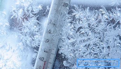 Las bajas temperaturas invernales aumentan la necesidad de calor. Las bajas temperaturas invernales aumentan la necesidad de calor.