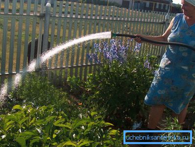El riego abundante conduce al consumo excesivo de agua. El riego abundante conduce al consumo excesivo de agua.