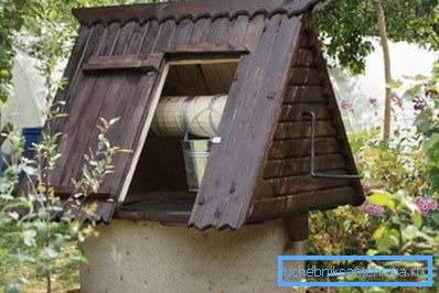 Ogolovok - la única parte aérea de la estructura. Ogolovok - la única parte aérea de la estructura.