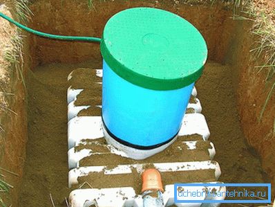 1134 Plastico