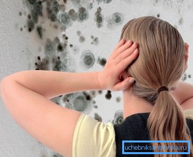 El moho es una forma de baño típica de la vida. El moho es una forma de baño típica de la vida.