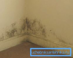 Las consecuencias de la mala ventilación en la casa. Las consecuencias de la mala ventilación en la casa.