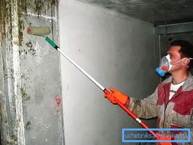 Causas de ocurrencia y peligro oculto de moho. Causas de ocurrencia y peligro oculto de moho.