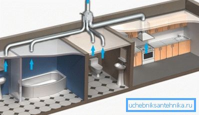 El sistema más simple de eliminación de olores y vapores desagradables, que se presenta en forma de una mina extensa, se recoge en un elevador El sistema más simple de eliminación de olores y vapores desagradables, que se presenta en forma de una mina extensa, se recoge en un elevador
