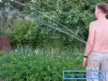 El tamaño y la calidad del cultivo dependen de la utilidad del riego. El tamaño y la calidad del cultivo dependen de la utilidad del riego.