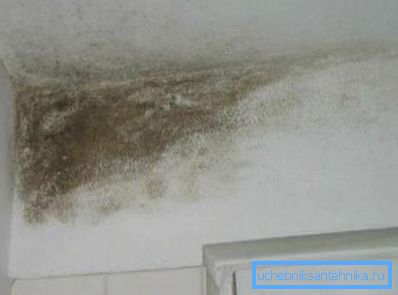 La multiplicación de moho es el resultado de una mala circulación de aire en el apartamento. La multiplicación de moho es el resultado de una mala circulación de aire en el apartamento.