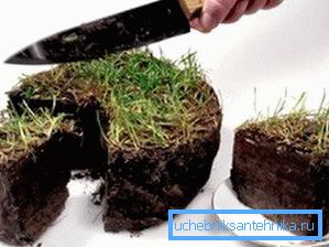 La servidumbre permitirá el uso limitado de la tierra de la parcela vecina. La servidumbre permitirá el uso limitado de la tierra de la parcela vecina.