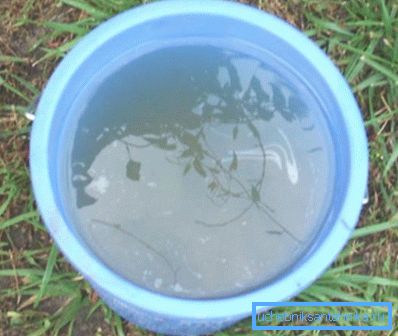 Bien con agua - ¡sé un cultivo!
