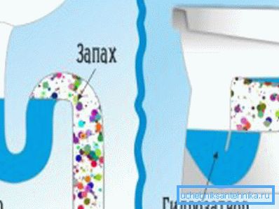 Así es como el agua sella el lavabo y el inodoro. Así es como el agua sella el lavabo y el inodoro.