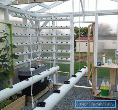 Diseño conveniente para el desarrollo de plantas saludables. Diseño conveniente para el desarrollo de plantas saludables.
