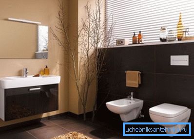 Aseo sin cisterna en el baño interior. Aseo sin cisterna en el baño interior.