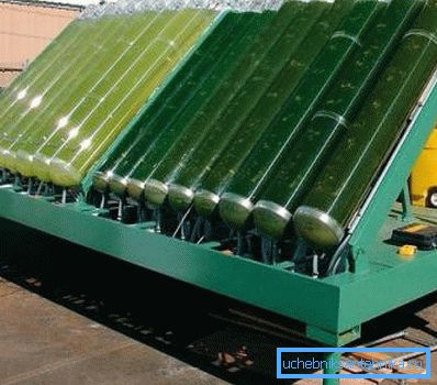 Instalación para la producción de energía orgánica a partir de algas. Instalación para la producción de energía orgánica a partir de algas.