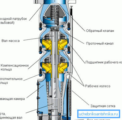 El dispositivo de la bomba centrífuga con dos impulsores. El dispositivo de la bomba centrífuga con dos impulsores.