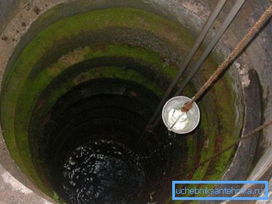 En una incursión verde, los microbios se reproducen activamente, incluidos los patógenos. En una incursión verde, los microbios se reproducen activamente, incluidos los patógenos.