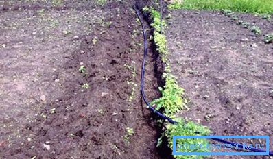 Fontanería de tuberías plásticas para jardinería, que no se desmonta para el invierno.