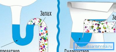 Todos los aparatos sanitarios deben tener un sello de agua. Todos los aparatos sanitarios deben tener un sello de agua.