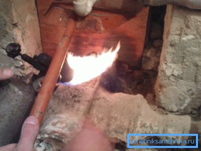 Gamuza ardiente. Gamuza ardiente.