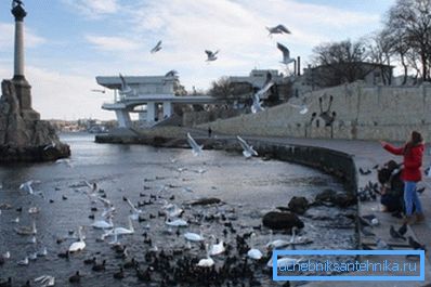 El invierno en Sebastopol no se distingue por la severidad. El invierno en Sebastopol no se distingue por la severidad.